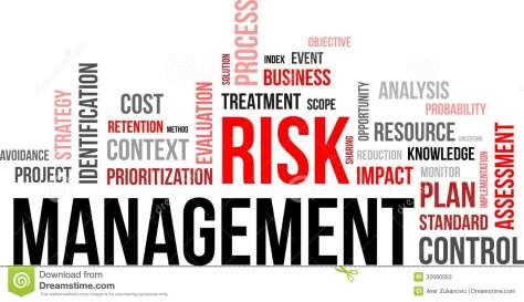 word-cloud-risk-management-related-items-32680353